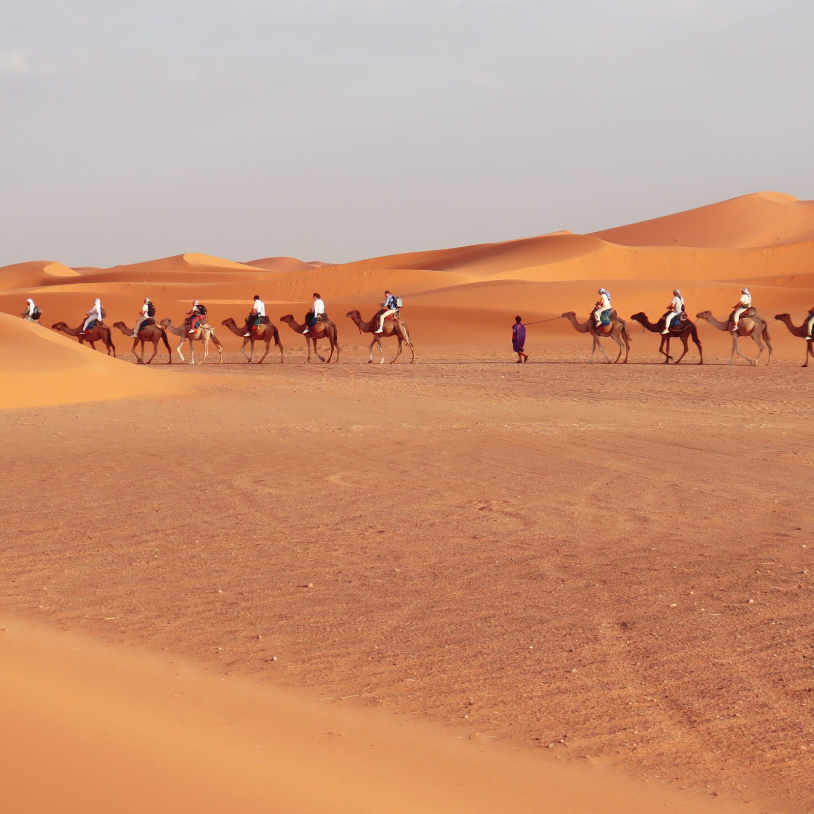 Marrakech to Fes Shared 3-Days Desert Tour via merzouga