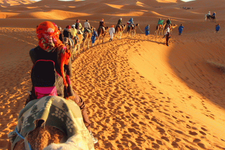 Shared Desert Tour from Marrakech