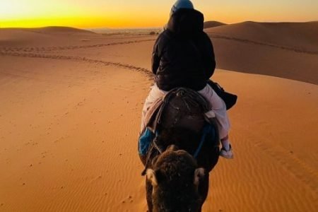 Merzouga Camel Trek & overnight
