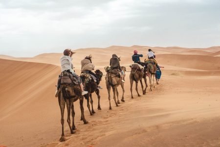 Explore Morocco From Sahara to the Sea
